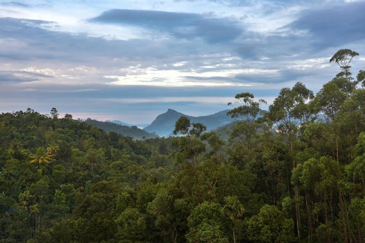Hotel White House, Munnar Resort